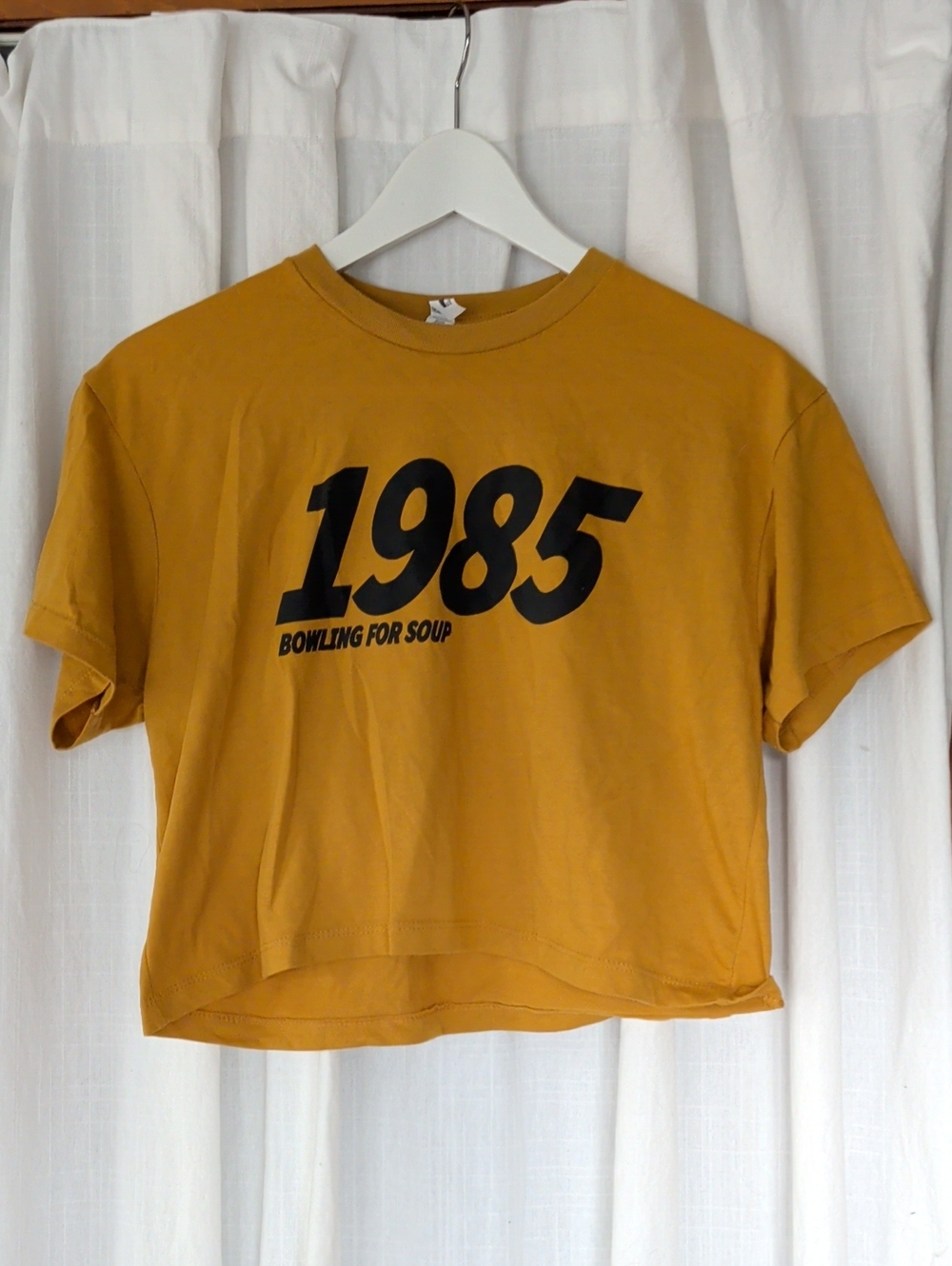 Bowling for Soup tour Shirt